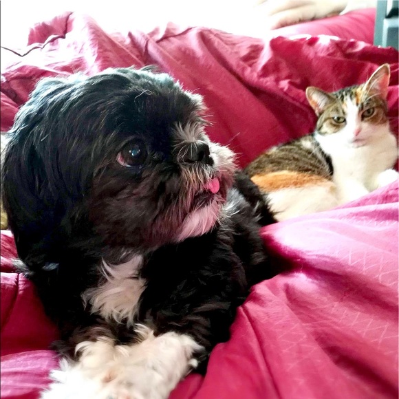 Closet Policies - Picture 6 of 7